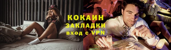 стаф Алзамай