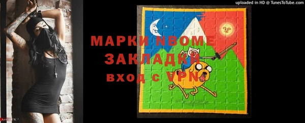 стаф Алзамай