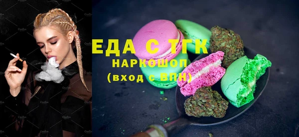 стаф Алзамай