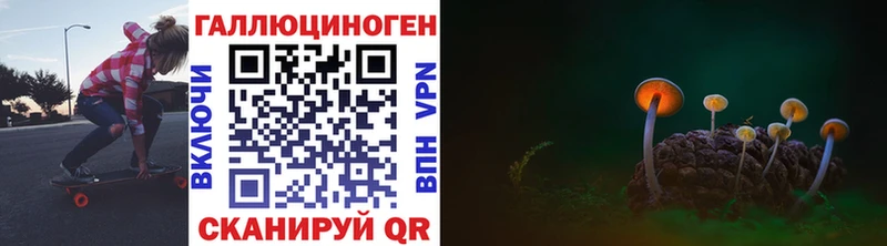 как найти закладки  Новочебоксарск  Псилоцибиновые грибы Psilocybine cubensis 